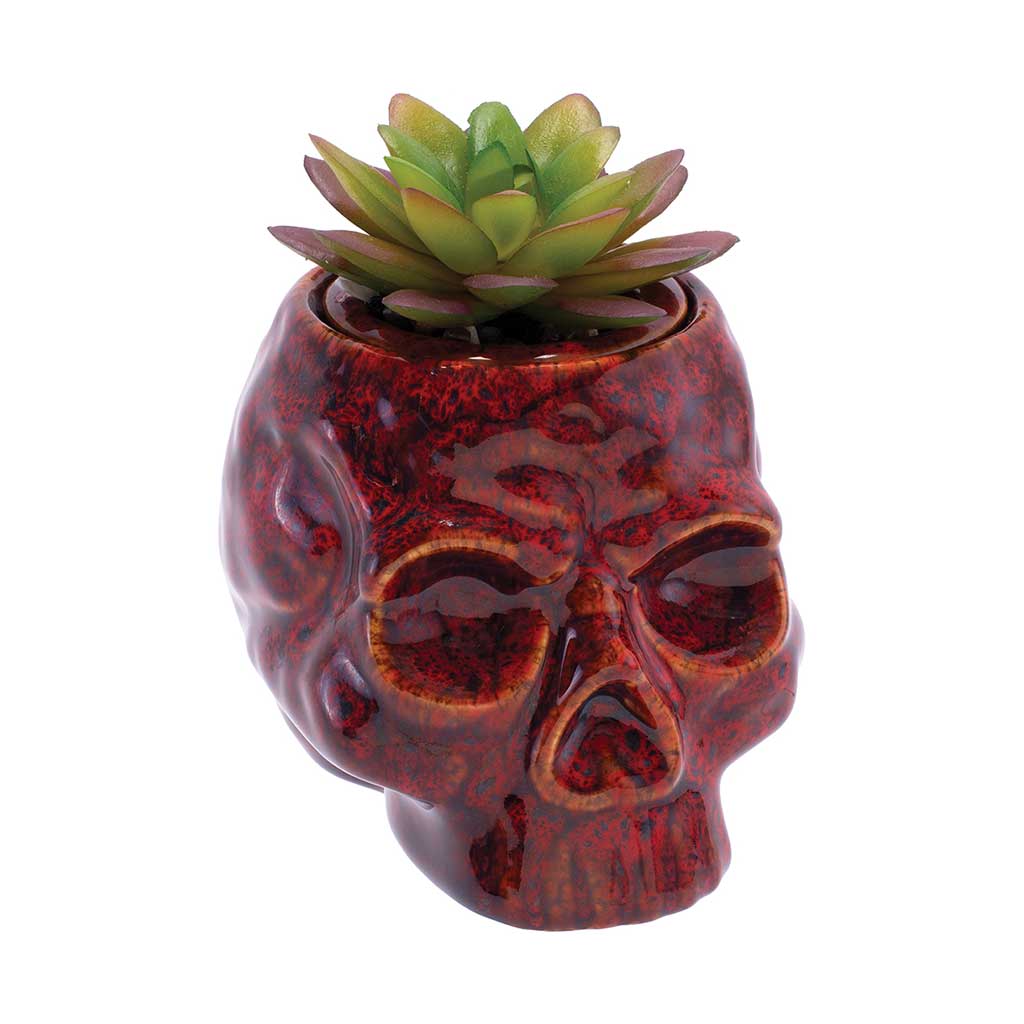 Skull Planter Stash Jar