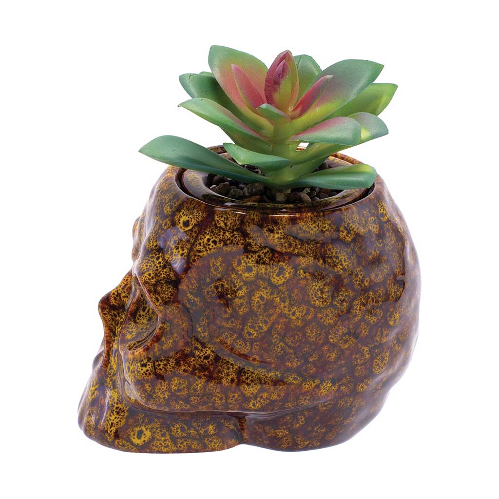 Skull Planter Stash Jar