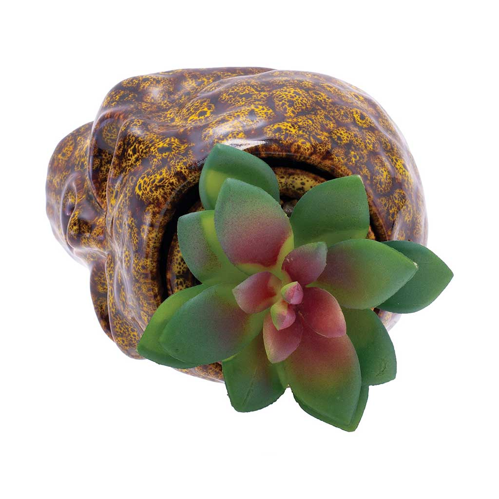 Skull Planter Stash Jar