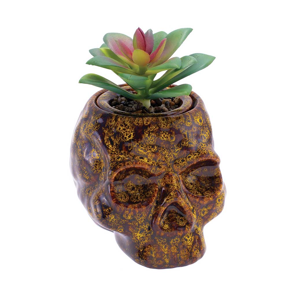 Skull Planter Stash Jar