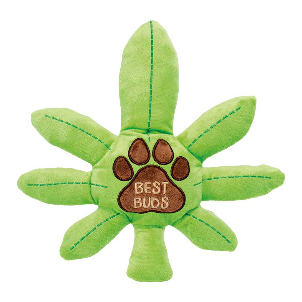 Best Buds Squeaky Dog Toy With Paw Design