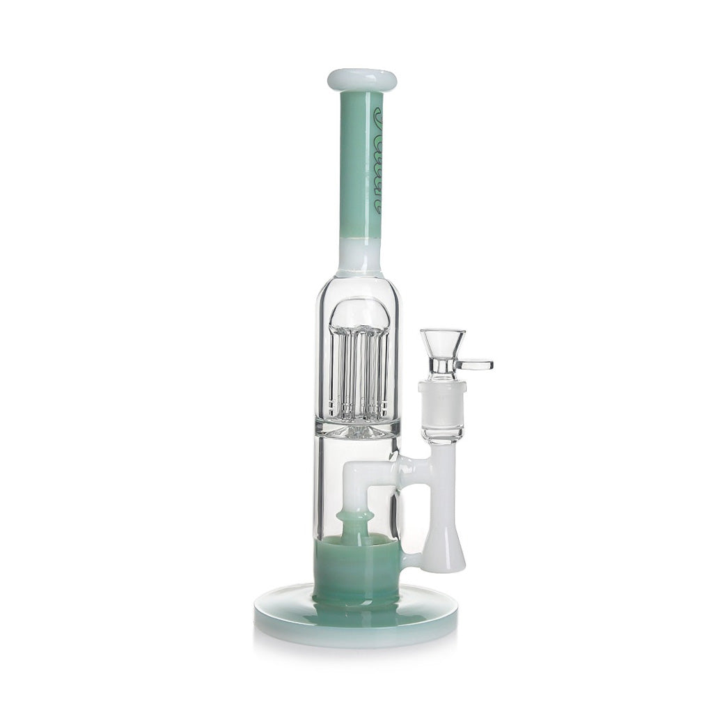 Hittn Showerhead 6-Arm Tree Perc Straight Tube Bong