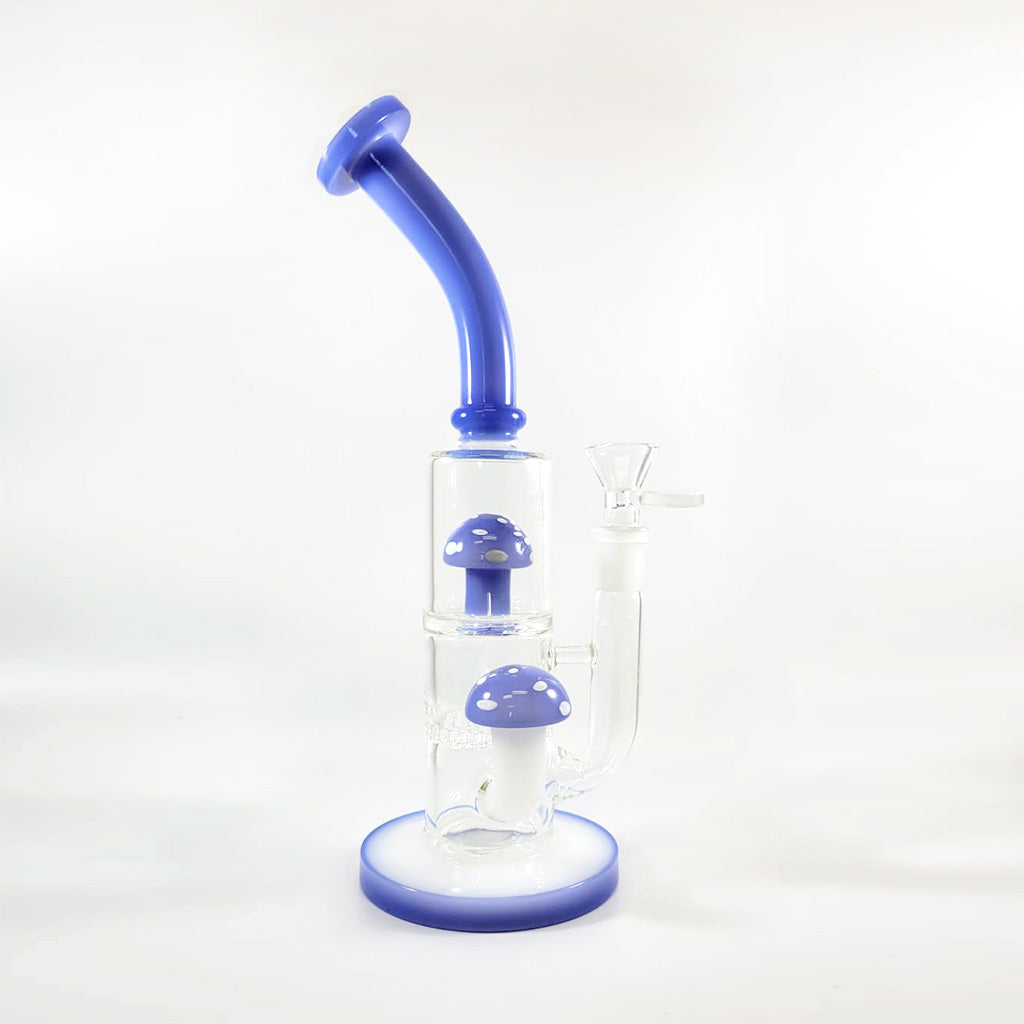 Mushroom Honeycomb Disc Perc Dab Rig